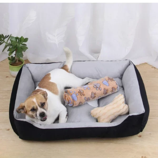 Dog bed size