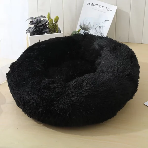 Dog bed animals