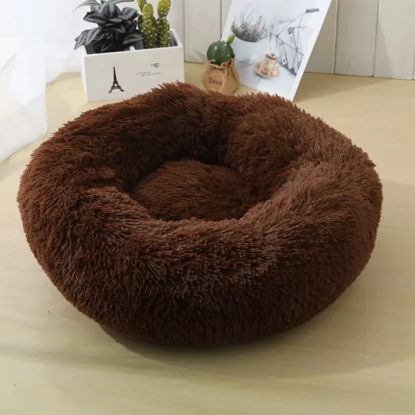 Dog bed best products