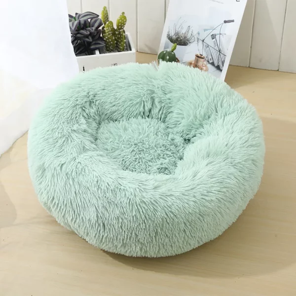 Dog bed animals