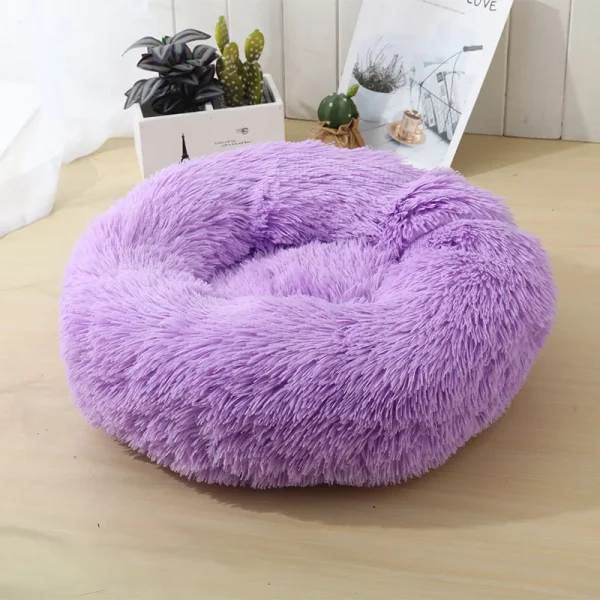 Dog bed best products