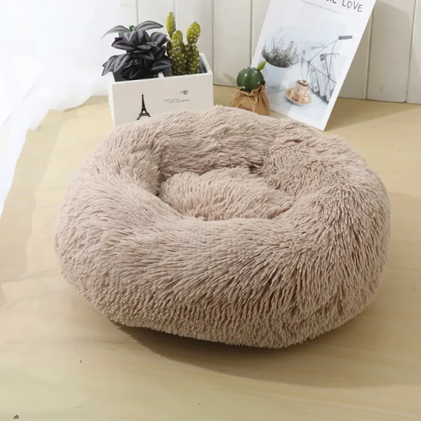 Dog bed animals