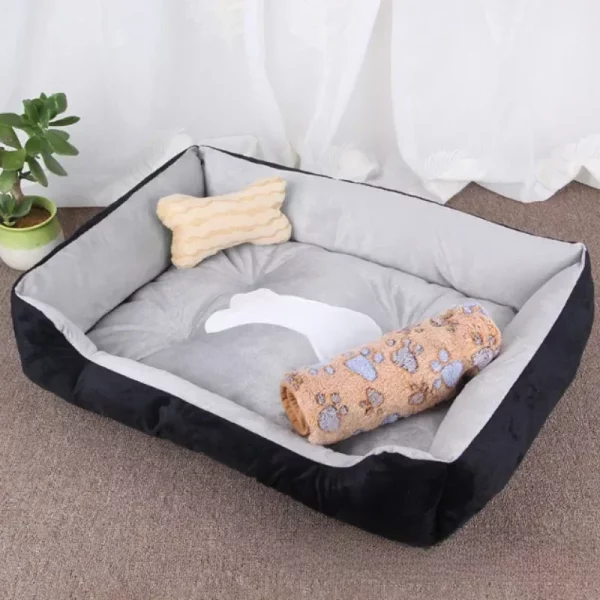 Dog bed famous pet