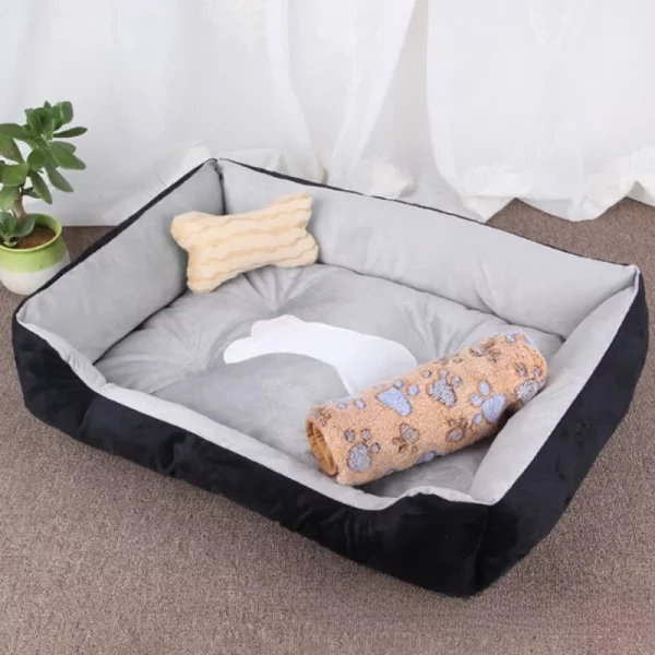 Dog bed famous