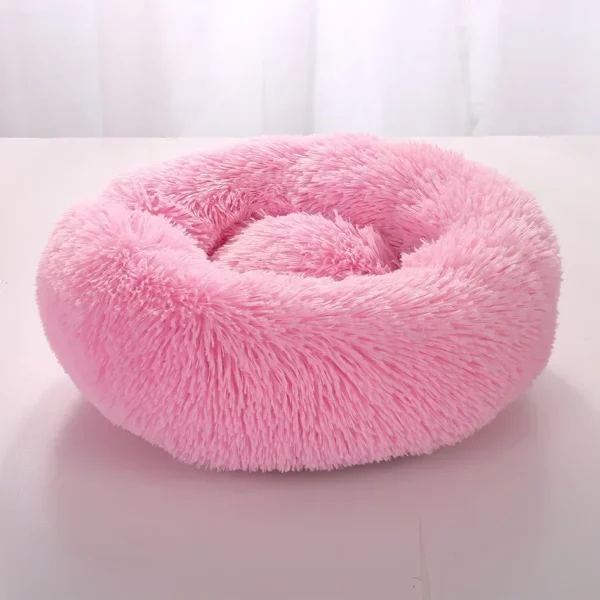 Dog bed labrador