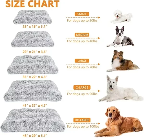 Dog bed cleaning