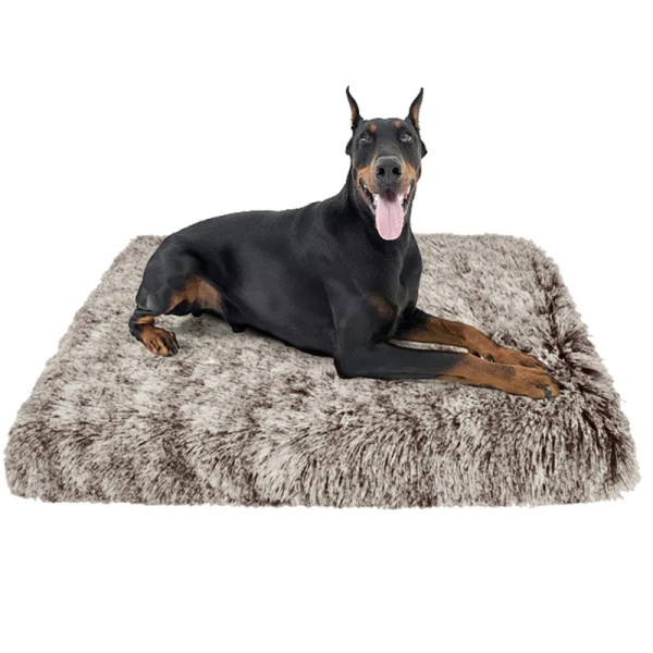 Dog bed portable