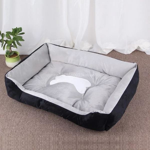 Dog bed internet