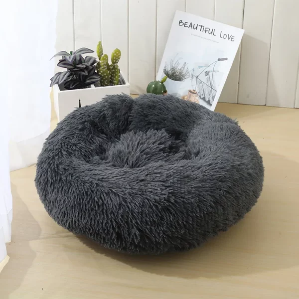 Dog bed best products