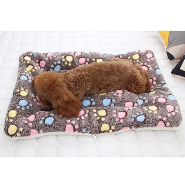 Dog bed blanket