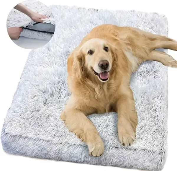 Dog bed cleaning