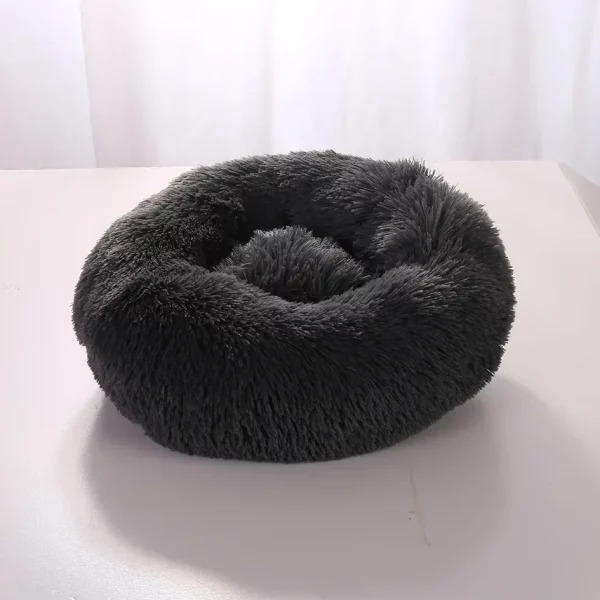 Dog bed labrador