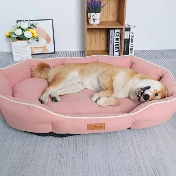 Dog bed breeds