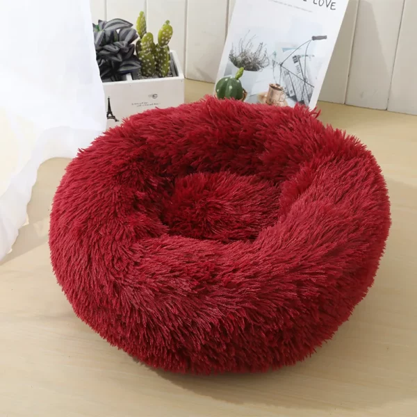 Dog bed best products