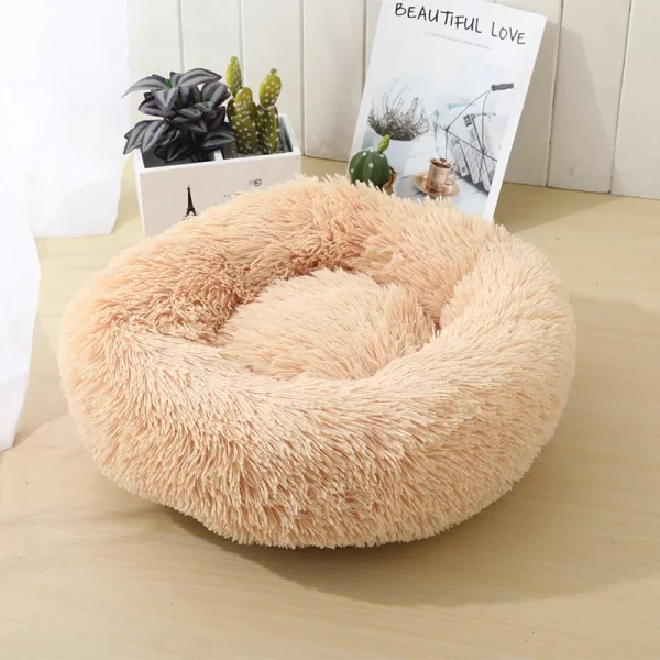 Dog bed best products