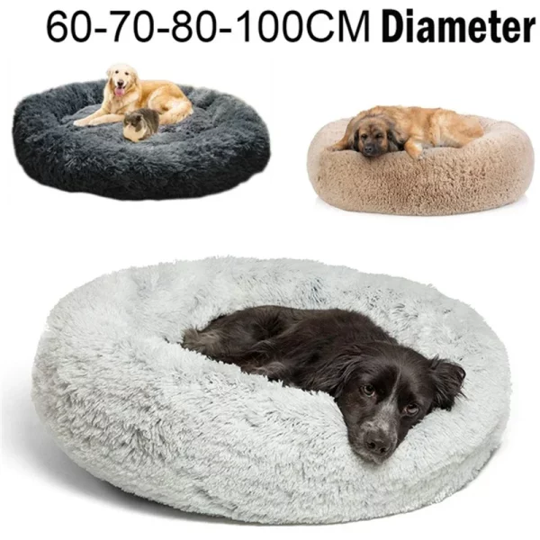 Dog bed labrador house