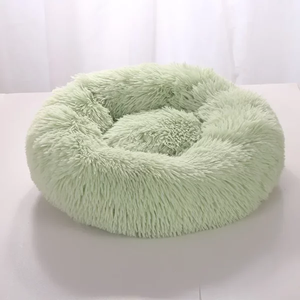 Dog bed labrador