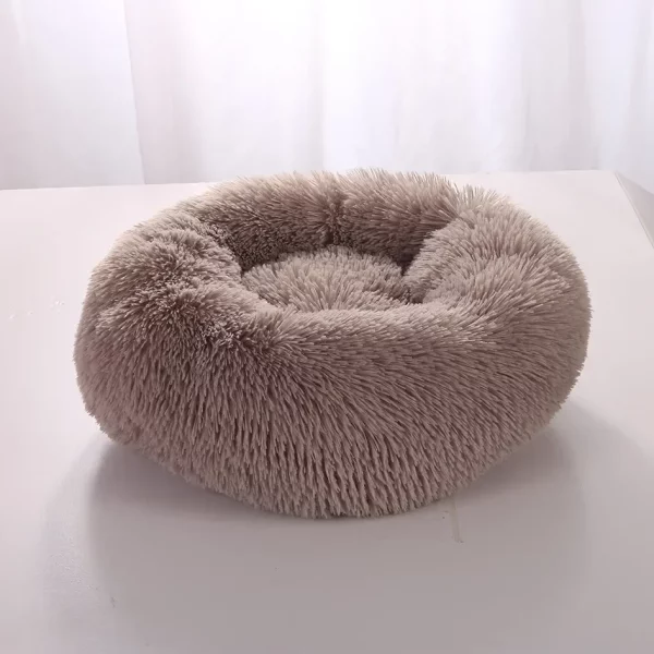 Dog bed labrador