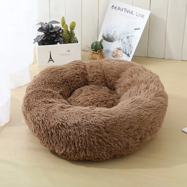 Dog bed animals