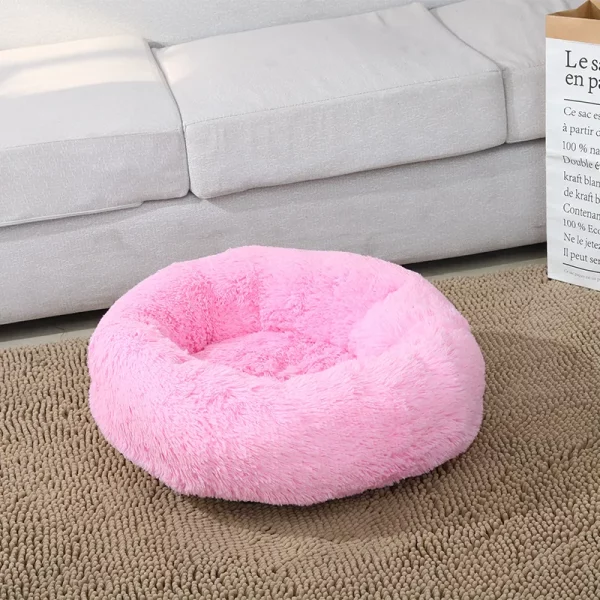 Dog bed animals