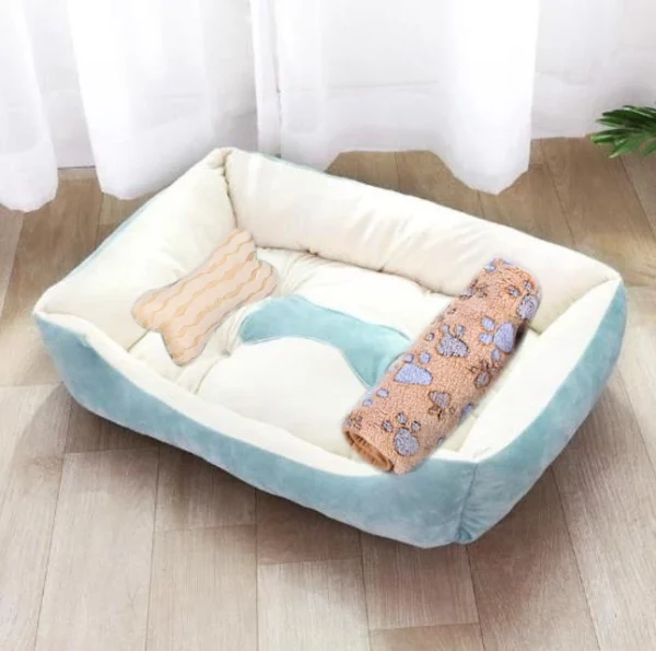 Dog bed sweet colored