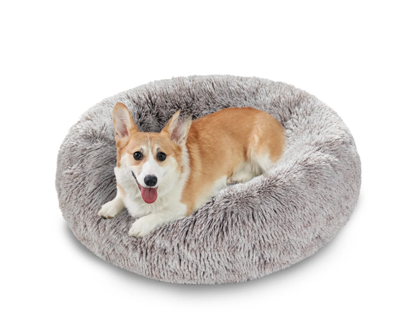 Dog bed king