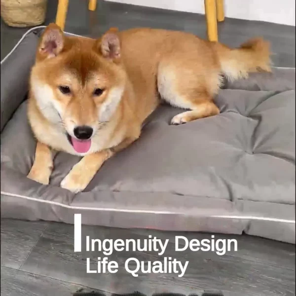 Dog bed harness