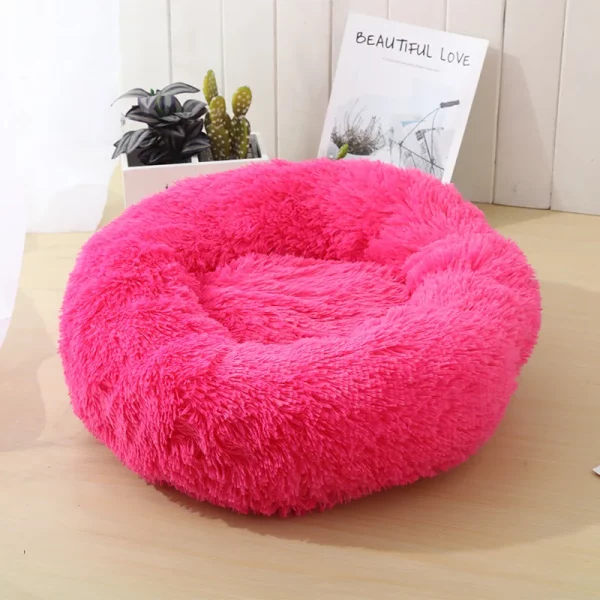 Dog bed best products