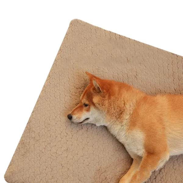 Dog bed carpet